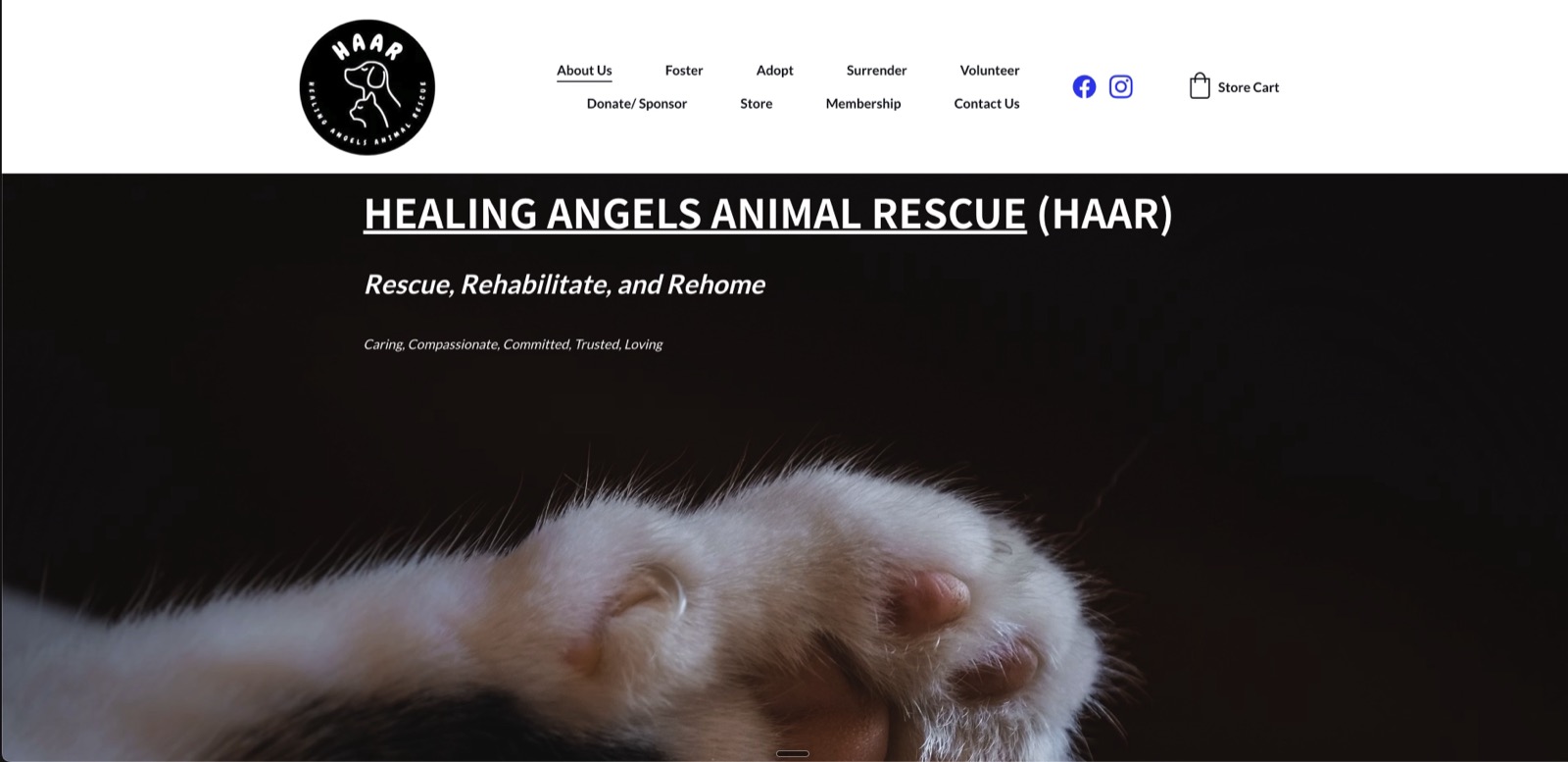HAAR website before redesign — cold, confusing, hard to navigate